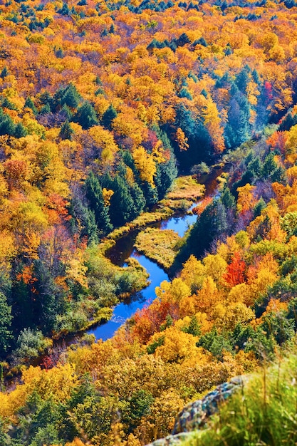 Imagen de un río sinuoso dentro de un bosque durante el otoño