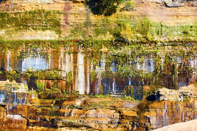 Imagen de rocas en la foto con musgo creciendo en su superficie