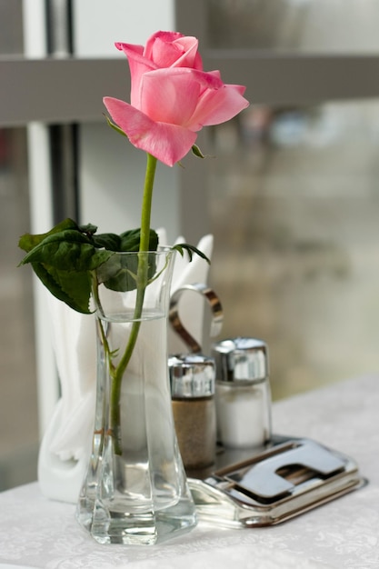 Imagen de rosa fresca en recipiente de vidrio