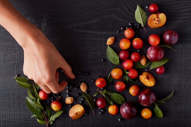 Foto imagen sin rostro de ciruelas frescas, aliches y arándanos decorados con hojas verdes y hoyos aislados sobre la superficie oscura, mesa de decoración de la mano de la mujer con frutas y bayas. vitaminas en mesa negra.