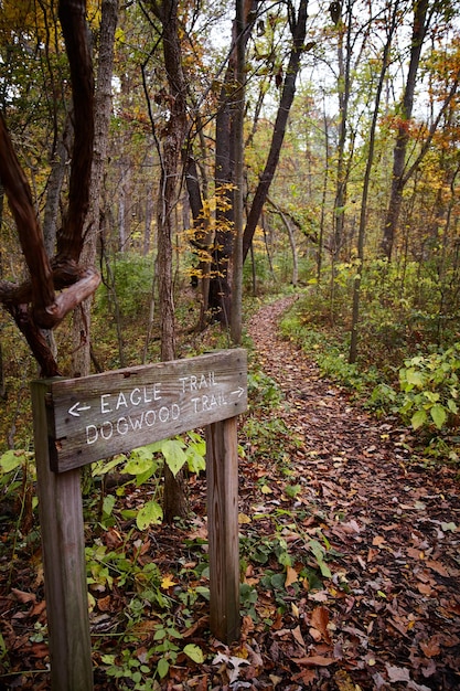 Foto imagen del sendero woodland que conduce al bosque con un letrero de sendero de madera apuntando hacia él