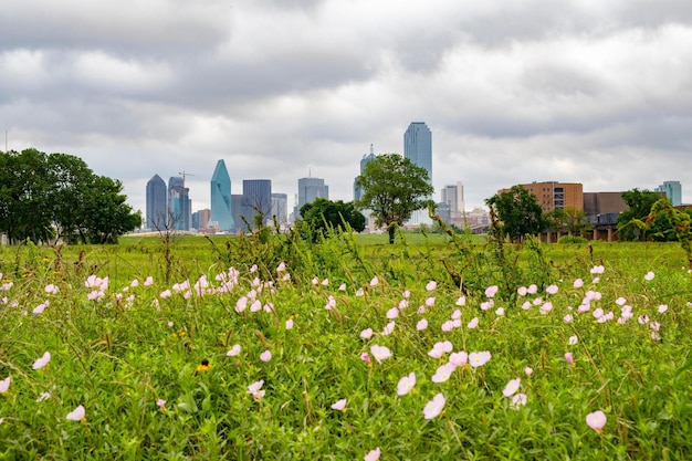 Imagen Springtime Serenity 4K de Dallas, Texas, vista desde el tranquilo río Trinity