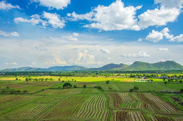 Imagen de toma aérea de terraza de arroz del hermoso campo de arroz de terraza en Chiang Rai, Tailandia