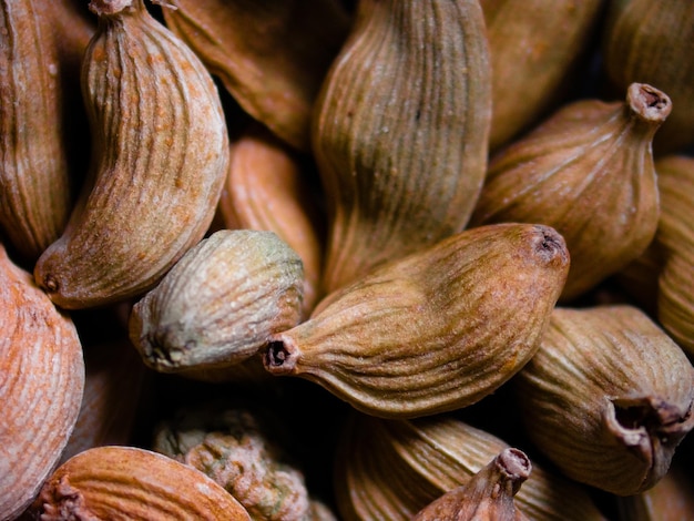 Foto imagen tomada con una semilla de cardamomo al microscopio