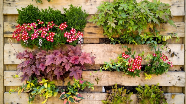 Imagen en tonos de primer plano de flores, hierba y arbustos que crecen en macetas pequeñas en la pared de madera vertical decorativa en la cara del edificio. Copiar el espacio. Lugar para su texto. Fondo natural