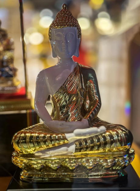 Imagen única de la estatua de Gautam Buddha