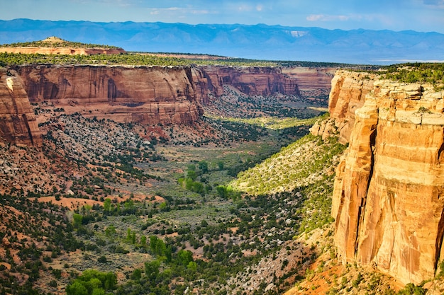 Imagen del vasto valle del cañón abierto con exuberantes verdes en el desierto rodeado de altos acantilados rojos verticales y montañas en la distancia