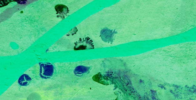 Una imagen verde y azul de microbios.