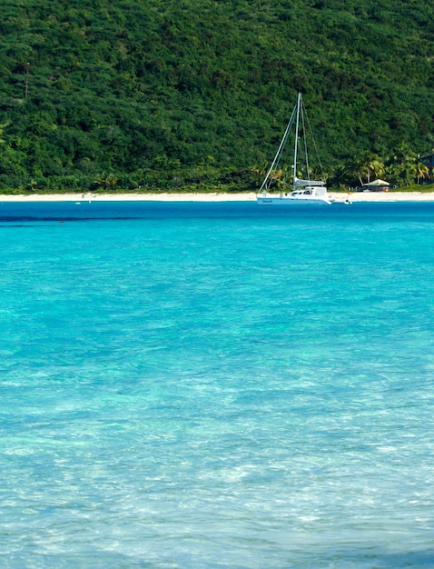 Imagen vertical del agua turquesa del mar con un barco amarrado y una playa rodeada de bosque