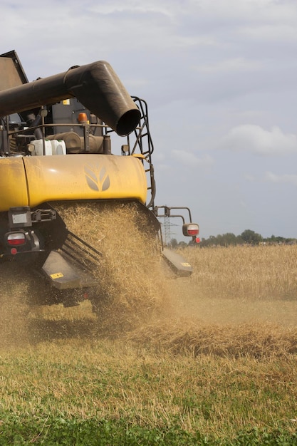 imagen vertical con cosechadora de trabajo en el campo de verano