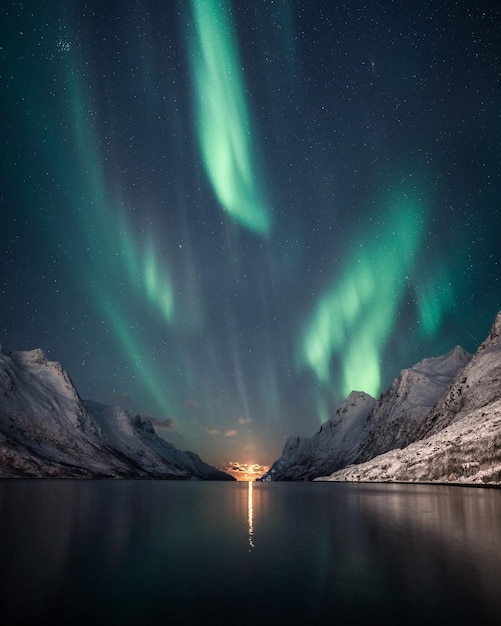 Imagen vertical de un paisaje invernal nocturno con reflejo de la aurora boreal en el lago,