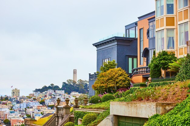 Imagen de viviendas muy juntas con vista lejana de la ciudad debajo de Telegraph Hill con la Torre Coit