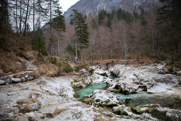 Imágenes de Bled, Eslovenia, en otoño e invierno