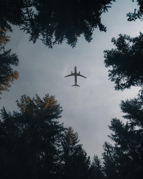 imágenes con imágenes de alta calidad de la naturaleza y la belleza con edificios y cielo