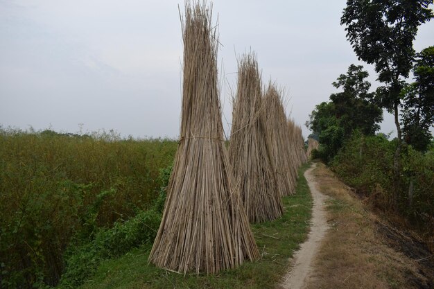 Imágenes de la naturaleza del pueblo