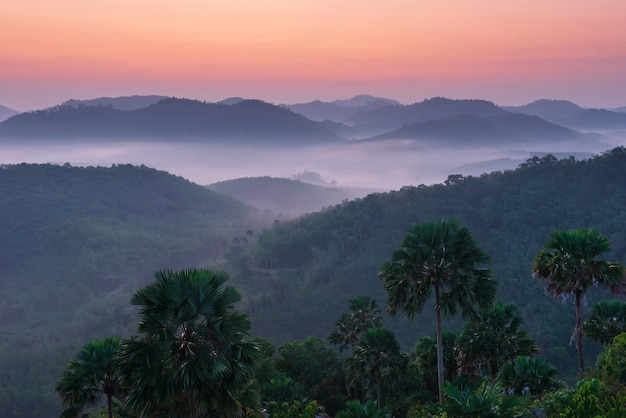 Imágenes de paisajes de atracciones en la provincia de Yala, sur de Tailandia. Toda la vía láctea. Hermosa niebla matutina, adecuada para viajar.