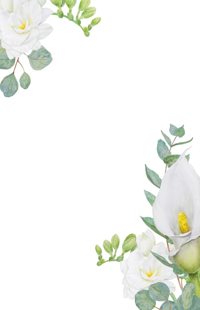 Imágenes prediseñadas de acuarela de flores de fresia de lirio blanco y eucalipto Ilustración floral dibujada a mano