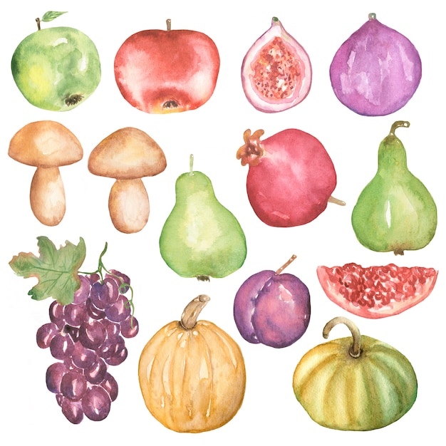 Imágenes Prediseñadas de conjunto de cosecha de otoño, acuarela calabaza, manzana, pera, higos, uvas, ciruela, granada, seta, gráfico otoño fruta, verduras, cocina