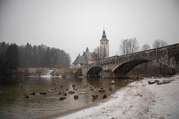 Imagens de Bled, Eslovênia, no outono e inverno