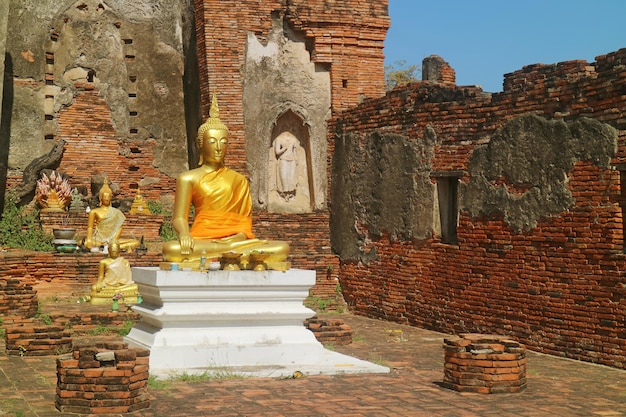 Imagens de Buda douradas em frente à Estrutura Antiga do Templo Wat Choeng Tha em Ayutthaya, Tailândia