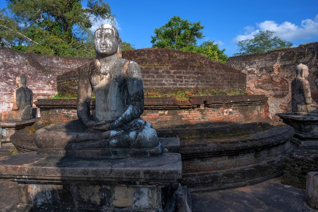 Imagens de Buda no templo vatadage em ruínas de polonnaruwa no sri lanka
