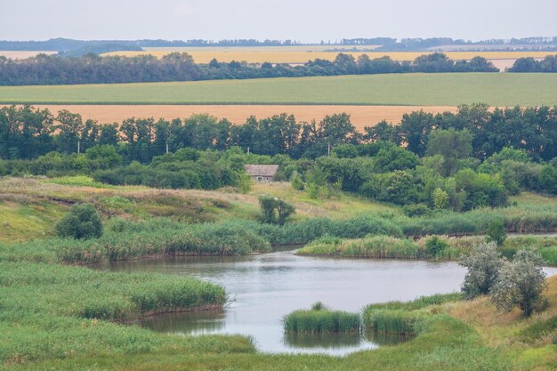 Imagens de campo verde e céu azul