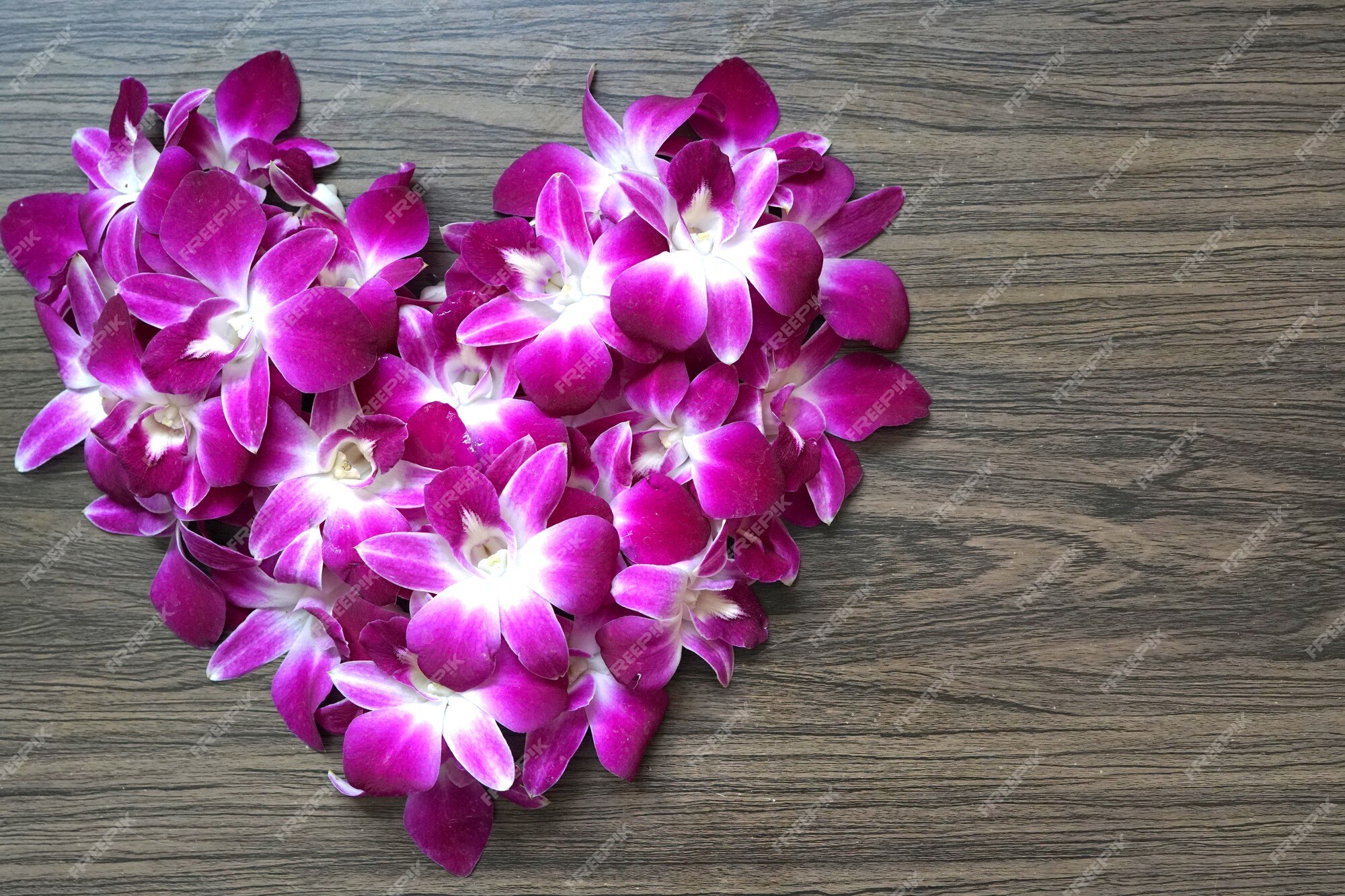 Imagens de lindo símbolo de coração de orquídea dendrobium roxo em fundo de  madeira | Foto Premium