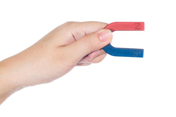 Foto imán recortado para sostener la mano contra un fondo blanco