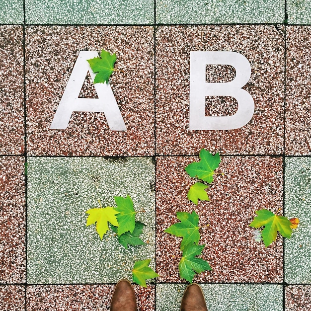 Foto imediatamente acima da vista de alfabetos e folhas caídas em uma trilha