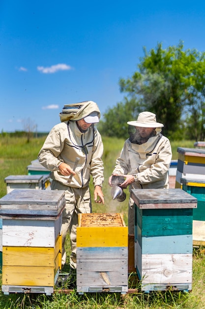 Imker arbeiten mit Waben Landwirtschaft Honigbienenzucht
