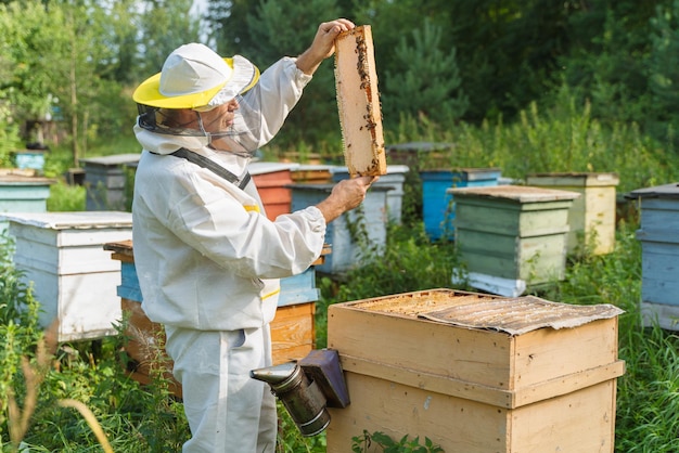 Imker arbeitet mit Bienen im Bienenhaus