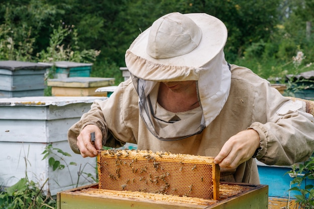 Imker arbeitet mit Bienen in der Imkerei