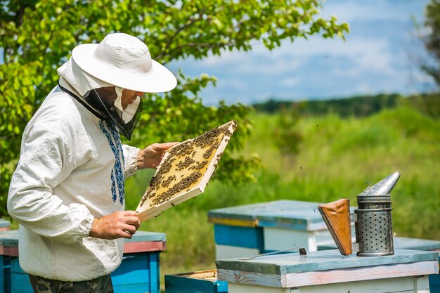 Imker arbeitet mit Bienen und Bienenstöcken am Bienenhaus. Imker am Bienenhaus.