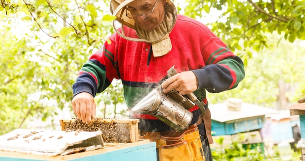 Imker arbeitet mit Bienen und Bienenstöcken am Bienenhaus. Imker am Bienenhaus.