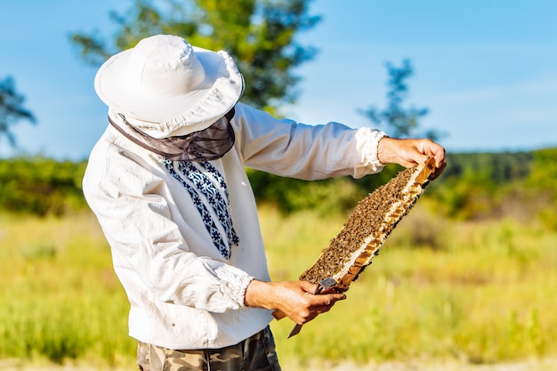 Imker arbeitet mit Bienen und Bienenstöcken am Bienenhaus