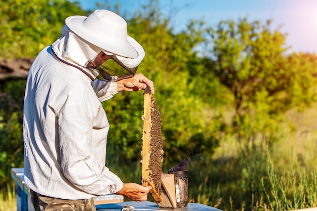 Imker arbeitet mit Bienen und Bienenstöcken an den Imkereirahmen eines Bienenstock-Imkereikonzepts