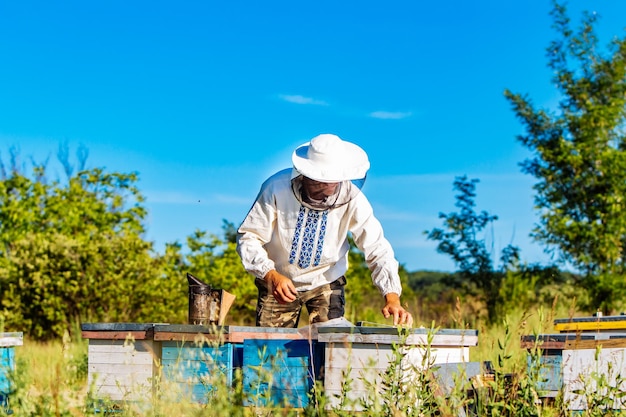 Imker auf Bienenhaus Imker arbeitet mit Bienen und Bienenstöcken am Bienenhaus Imkereikonzept