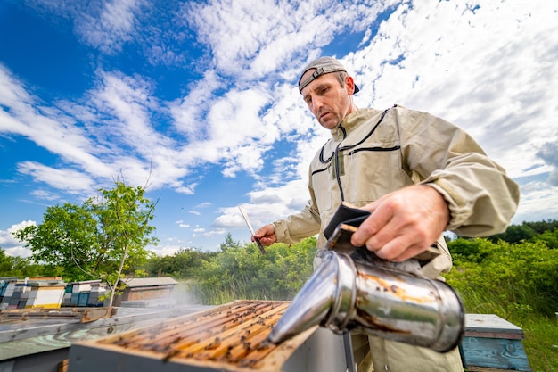 Imker bei der Arbeit mit Bienenstand Arbeiter im Schutzkostüm mit Waben