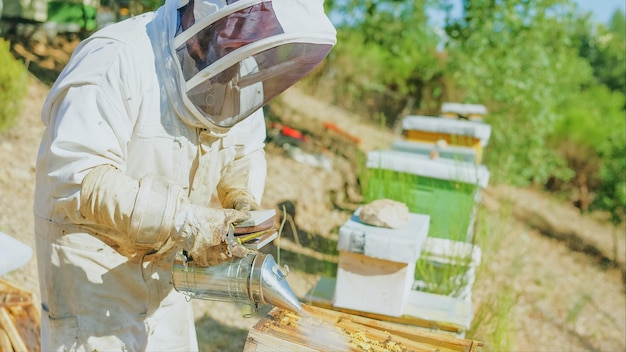 Imker, der die Bienen räuchert, um die Bienen zu besänftigen