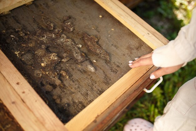 Imker, der die hölzerne Bienenstockoberseite geklebt mit Propolis öffnet