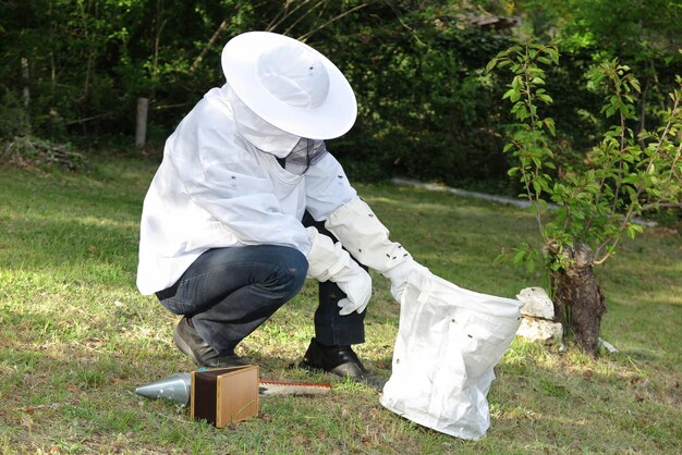 Imker in Arbeitsschutzkleidung in Kiste am Bienenstand