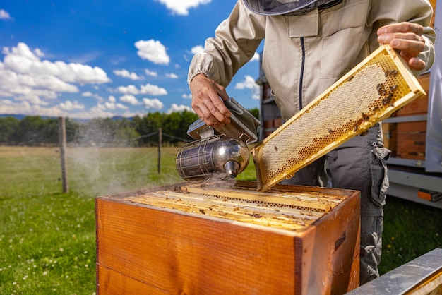 Foto imker raucht honigbienen mit bienenraucher am bienenstand