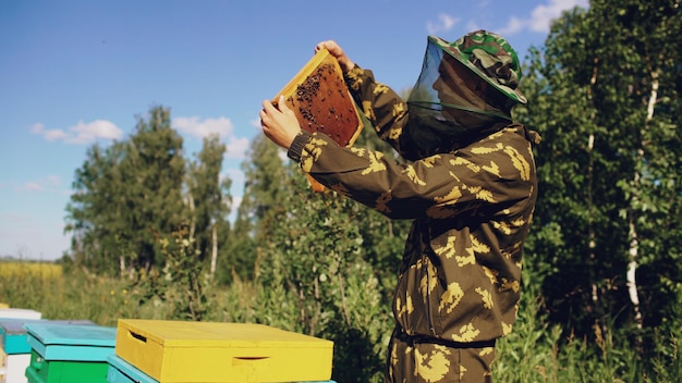 Imker überprüft Holzrahmen, bevor er Honig im Bienenhaus erntet