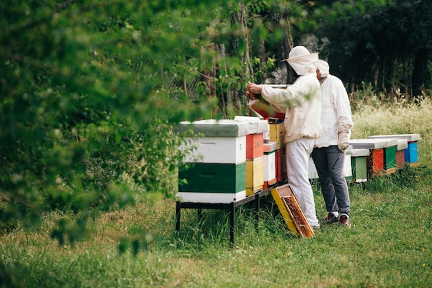 Foto imker untersuchen bienenstöcke an land