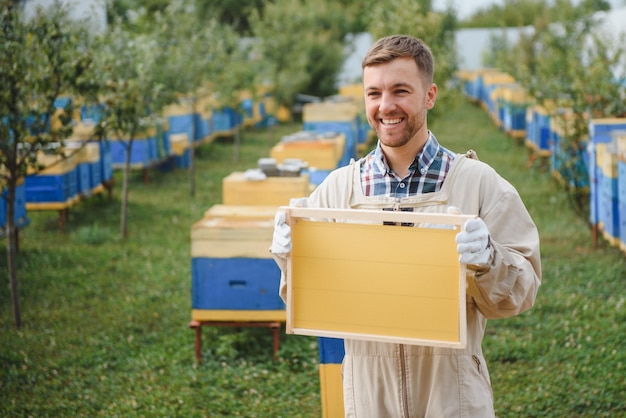 Imkerei Imker bei der Arbeit Bienen im Flug