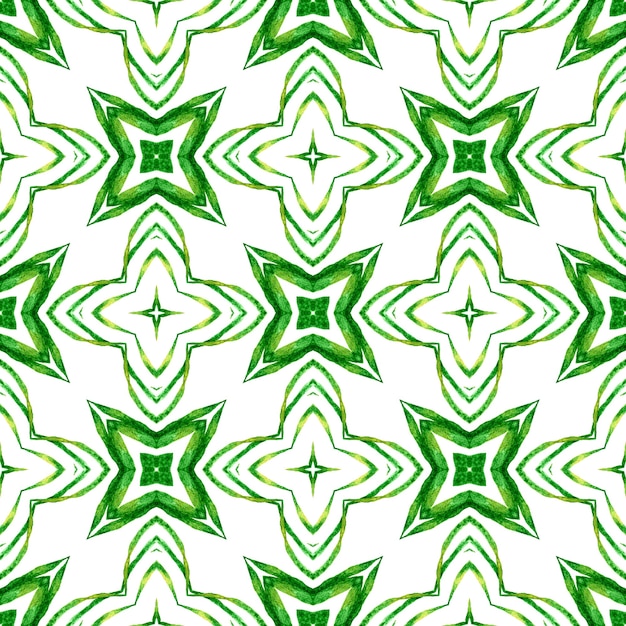 Impresión artística lista para textiles, tela para trajes de baño, papel tapiz, envoltura. Diseño de verano boho chic glamoroso verde. Patrón étnico pintado a mano. Patrón de frontera étnica de verano acuarela.