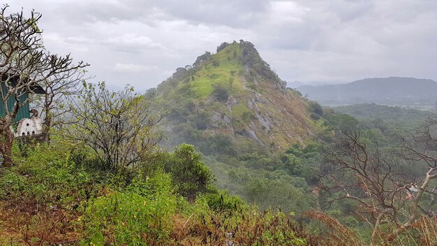 Impresión de Sri Lanka