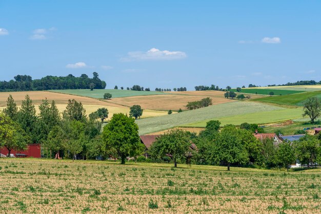 Impresión de verano en el campo