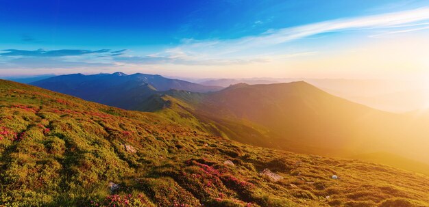 Impresionante amanecer de montaña