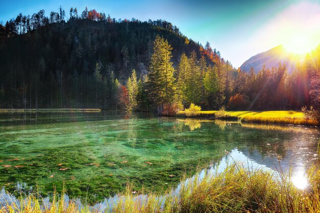 La impresionante escena de otoño del estanque de Schiederweiher